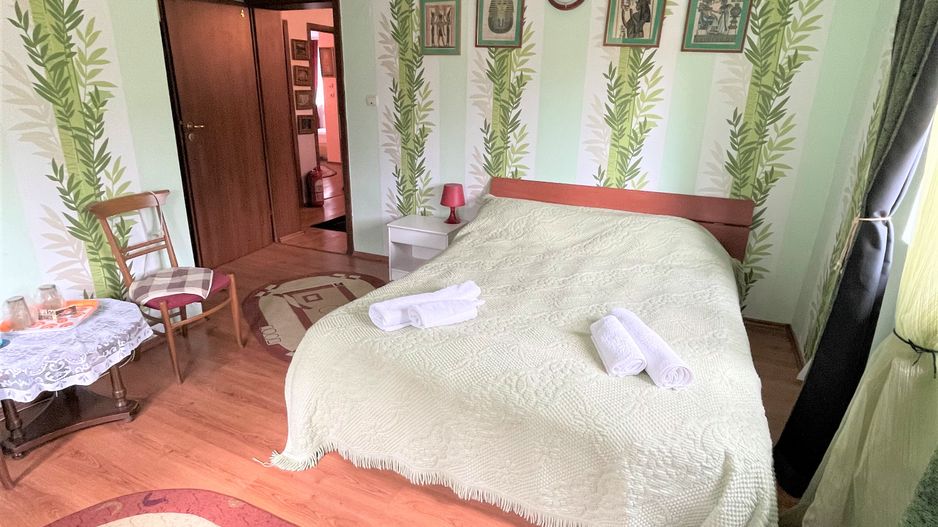 Proprietate in incantarea naturii, oportunitate investitie/rezidential, Predeal - Poză 23