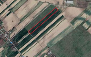 Teren agricol extravilan – Rătești, Argeș - Poză 3