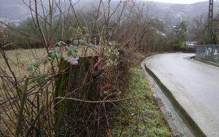 Teren de vanzare in Provita de jos - Poză 5