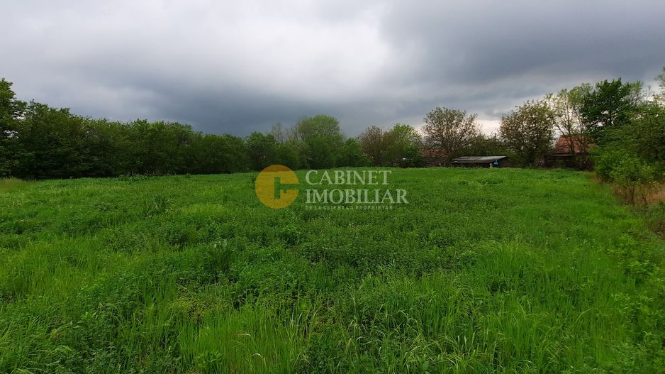 🏡 Casă cu livadă sat Prisăcani  - Teren 4500 mp - Poză 8