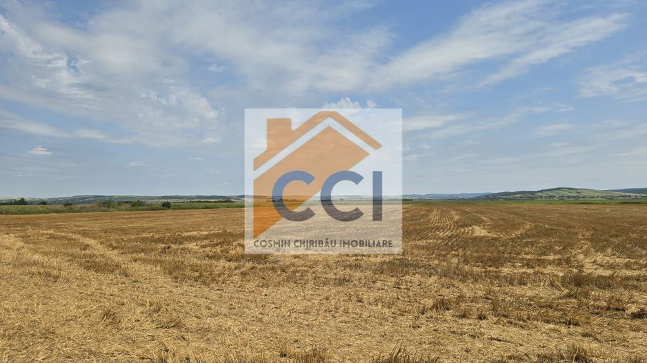 Teren intravilan– 50.000 mp, Bacău, Șoseaua Hol - Poză 2