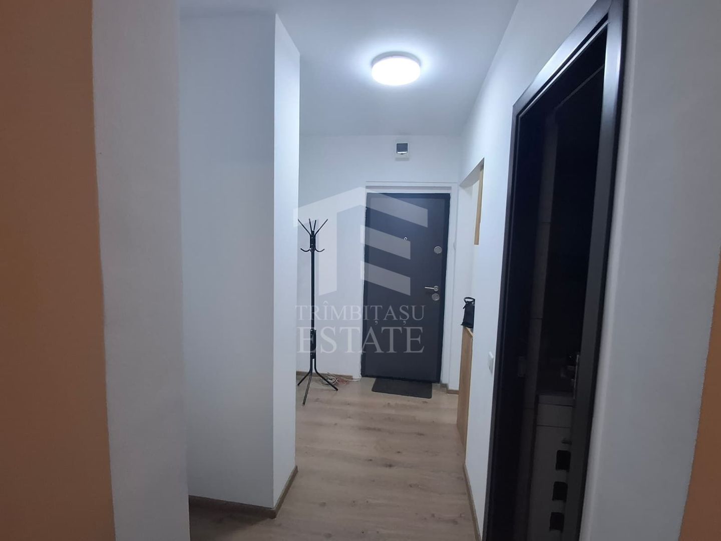 Titan - Costin Georgian | Garsoniera - Poză 6