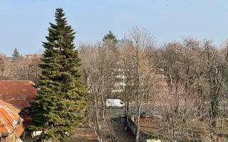 Resedinta de lux / * Kiseleff* - Poză 72