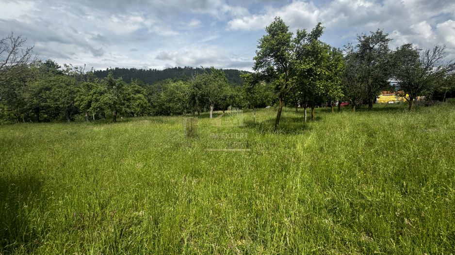 TEREN INTRAVILAN 4600 MP, VOINESTI, LERESTI, ARGEȘ - Poză 9