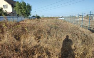 Teren intravilan Clinceni Str. Ortansei la 2 min de centura București - Poză 1