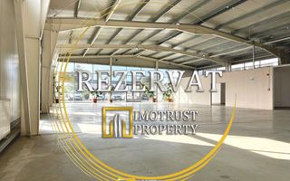 Hala mixta 800 mp de inchiriat – showroom, birouri, depozit – Arad - Poză 1