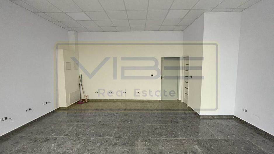 Spatiu la bulevard Nicolina - Rond vechi - Poză 4