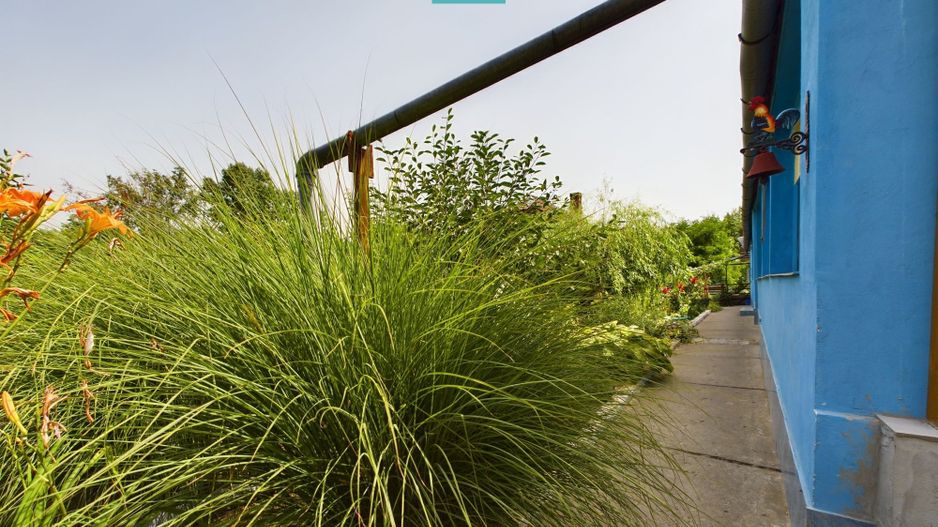 Casă cu 3 camere în Periam Port județ Timiș - Poză 10