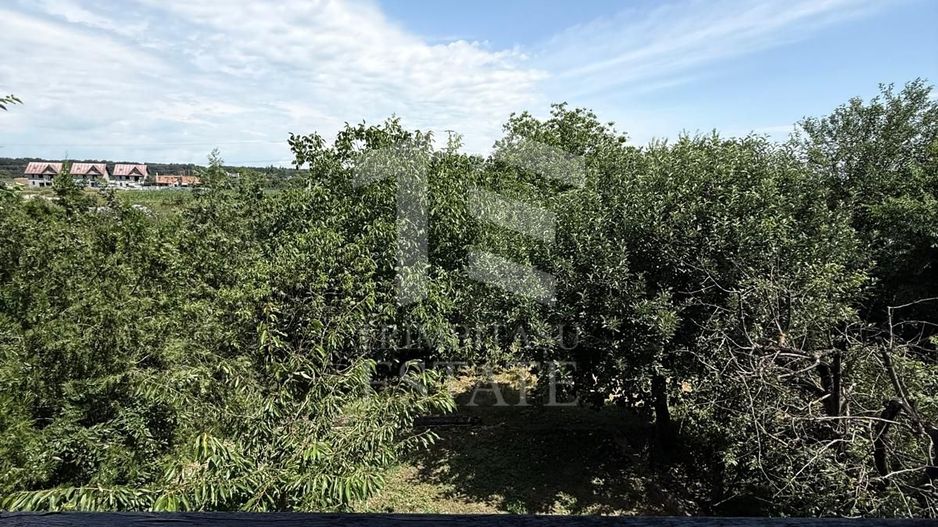 Casa autentixa maramureseana de vanzare in Snagov-Tancabesti - Poză 20