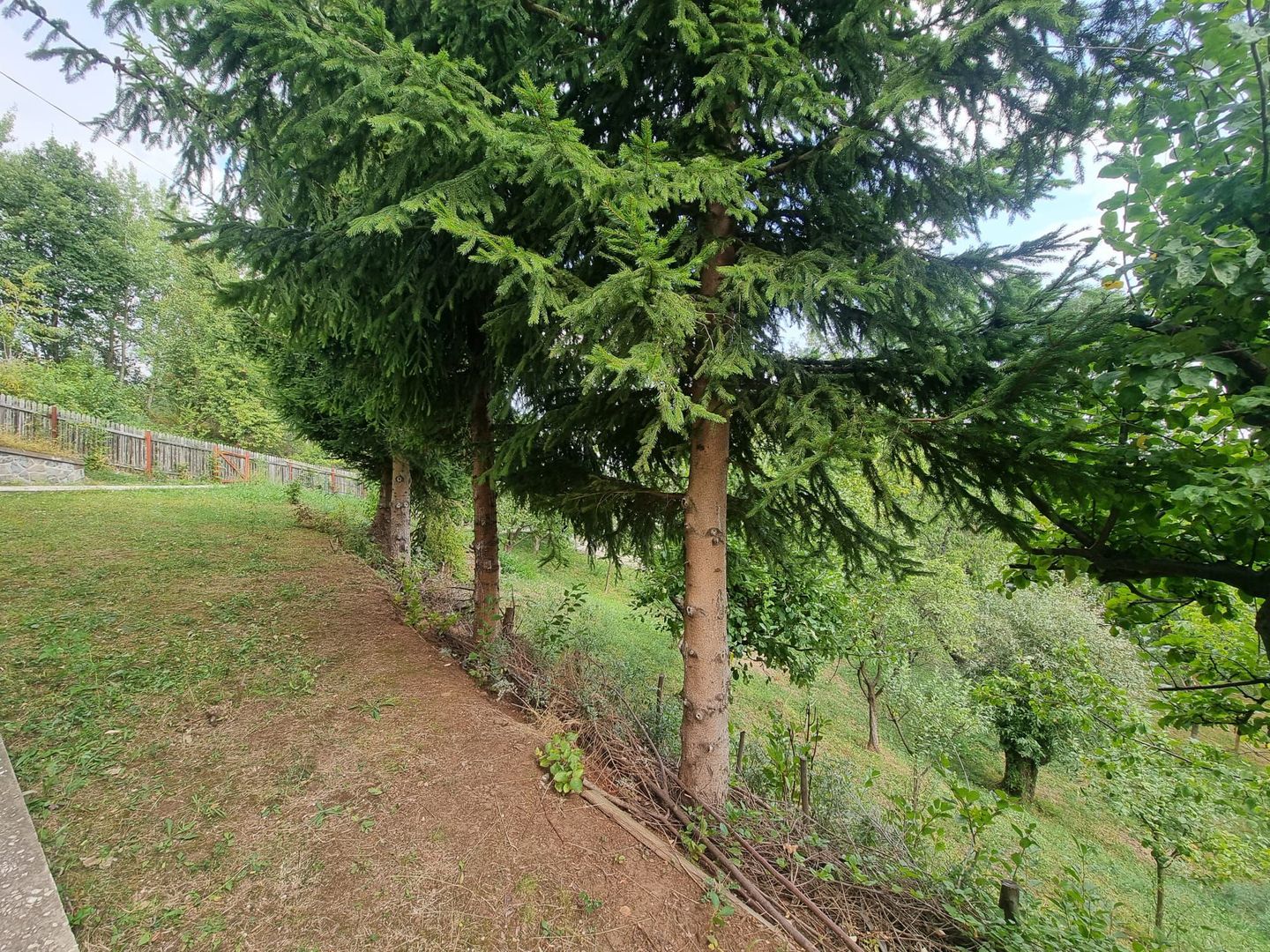 Casa de vacanta in Nistoresti - Poză 5