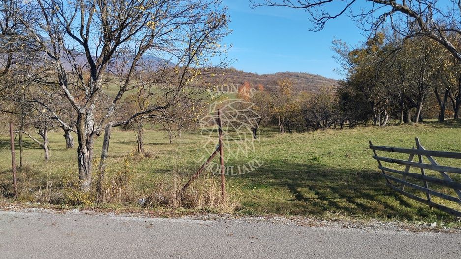 Teren intravilan 5324 mp la drum asfaltat-Parcelabil-Josenii Bargaului - Poză 2