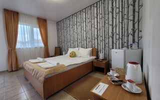 Vama Veche - Vila Sophia  - Vânzare pensiune P+1E la cheie. - Poză 35