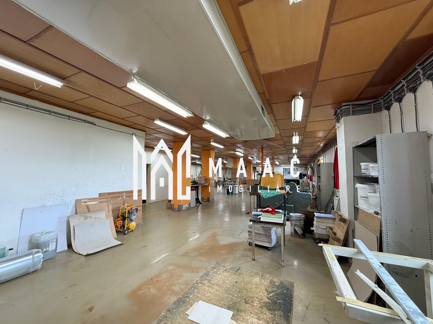 Teren 1400MP + Hala 500MP | Utilitati | Lacul lui Binder - Poză 6