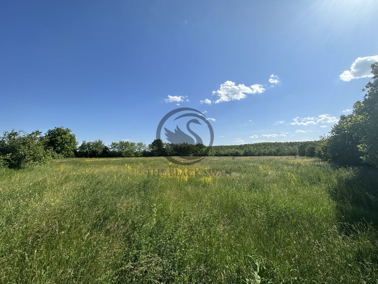 Teren intravilan de vanzare | 11.000 mp | Ghirdoveni | Comision 0% - Poză 9