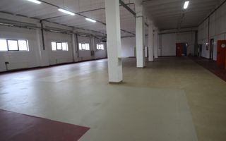 Hala productie    - Calea Torontalului de vanzare - Poză 4