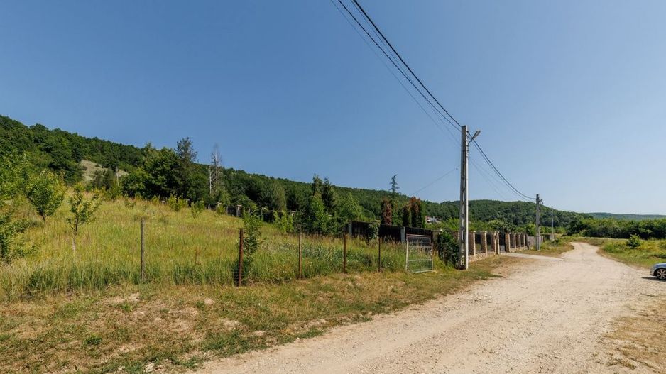 Teren intravilan Ștefănești Valea Mare Podgoria - Poză 3