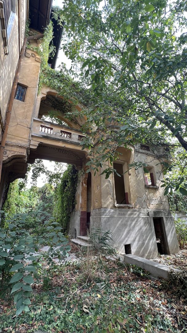 VILA INDIVIDUALA CISMIGIU | INTR. TEMISANA - Poză 14