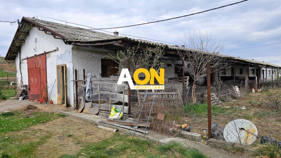 2 Hale pt.depozitare sau productie, 6100 teren, Lunca Muresului - Poză 5