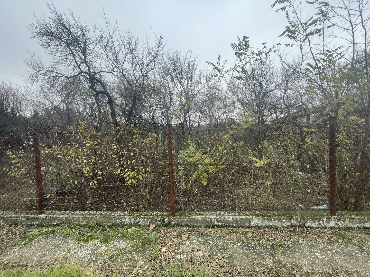 Teren in suprafata de 2165 mp cu front de 30 ml - Poză 3