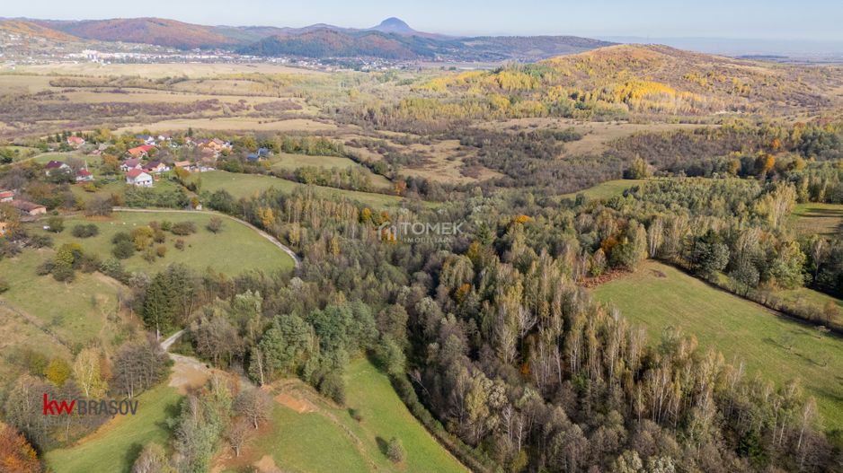 Teren intravilan în Zărnești, zona Tohanita, cu pădurice și parau curg - Poză 8