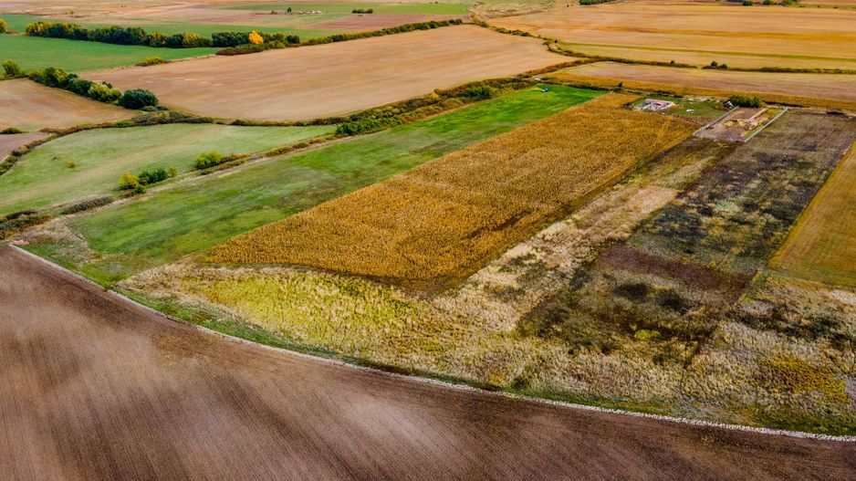 Teren arabil pe Strada Câmpurilor - Poză 10