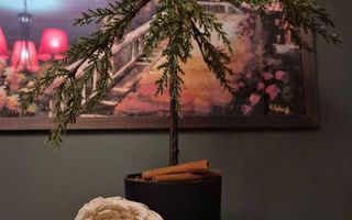 Garsoniere de inchiriat ultracentral - Poză 7