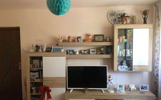 Apartament 2 camere Sagului - Poză 1