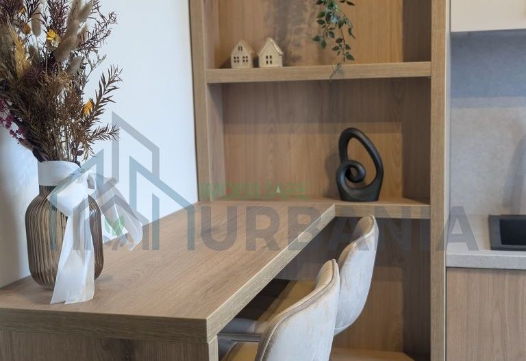 Apartament luxury 2 camere, prima închiriere, Piața Unirii – vedere pietonalul Lăpușneanu - Poză 2