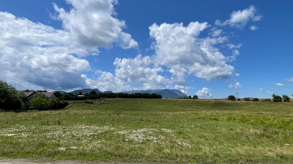 INVESTIȚIE | Teren 5000 mp PUZ APROBAT intravilan - zona Sohodol -Bran - Poză 3