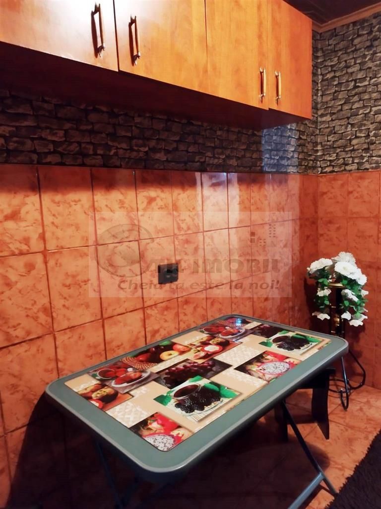 2 CAM PODU ROS PALAS CANTEMIR FARA RISC ETAJ INTERMEDIAR - Poză 15