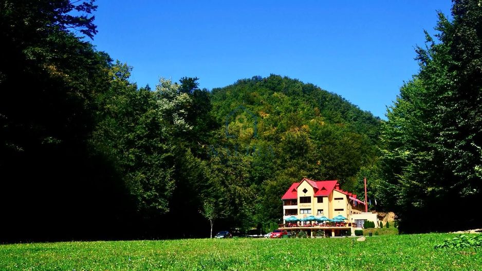 Pensiune Baia Mare - Poză 10