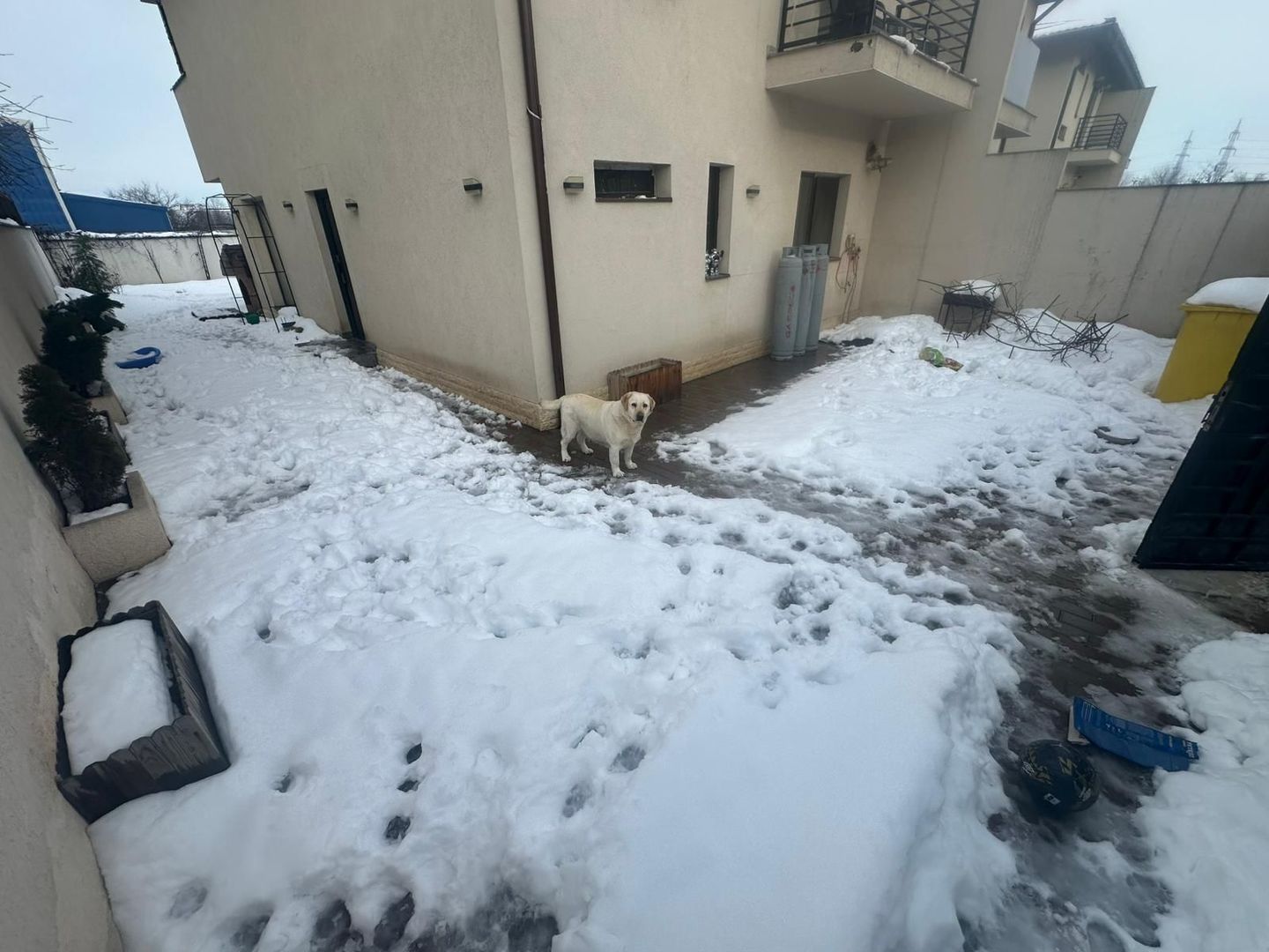 CASA INDIVIDUALA VOLUNTARI, CURTE 224 MP, CENTRALA TERMICA, COMIS 0% - Poză 2