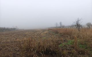 Teren intravilan 12.511 mp | Potoceni – Mărăcineni | Ideal pentru dezvoltare rez - Poză 5