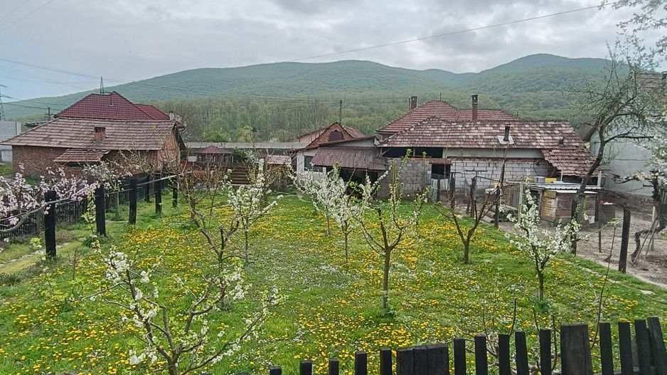 Casa cu 3 camere, 150 mpu, mobilata, utilata, garaj, curte, Ampoita - Poză 19