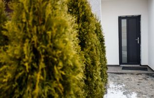 Casa moderna 4 camere CUBIC VILLAGE - Strada Soarelui