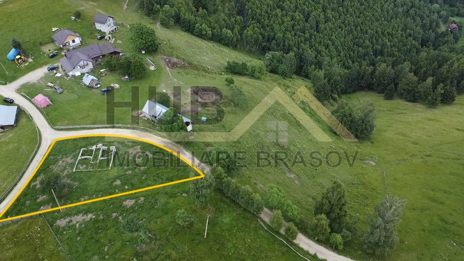 Oportunitate Investitie |Teren Pestera | 2.250mp |Utilitati Gaz/Curent - Poză 6