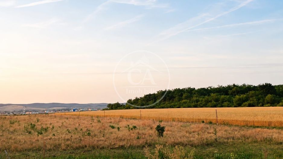 Teren intravilan de vanzare in Alparea, Bihor - Poză 1