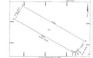 Teren de vanzare Pantelimon Rascoalei - 1562 mp  - 4km Metrou - Poză 2