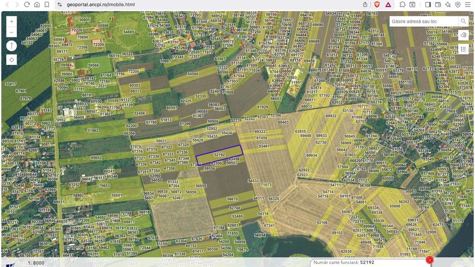 Teren intravilan 18.200 mp Saftica Balotesti - Poză 3