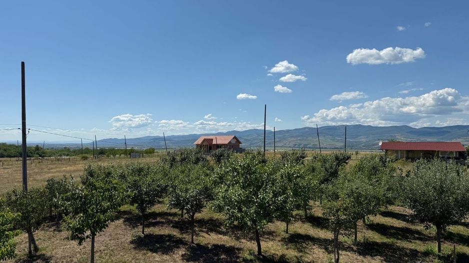 Cabana de lemn, 2 camere, teren 850 mp, livada, Oarda, Alba Iulia - Poză 3