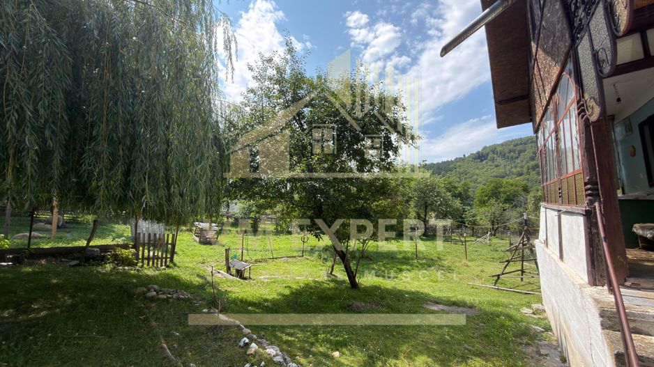 CASĂ3 3 CAMERE TEREN 1277 MP STOENEȘTI (SLOBOZIA) ARGEȘ - Poză 12