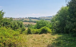 Teren intravilan 4.568 mp, 2 fronturi – Brebu Nou, Caraș-Severin - Poză 2