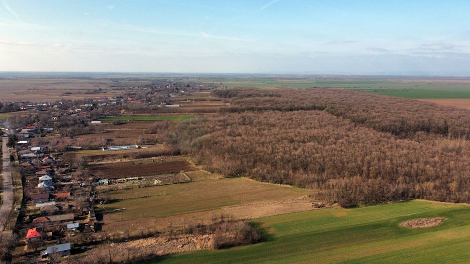 Ferma si livada de meri in judetul Ilfov - Poză 16