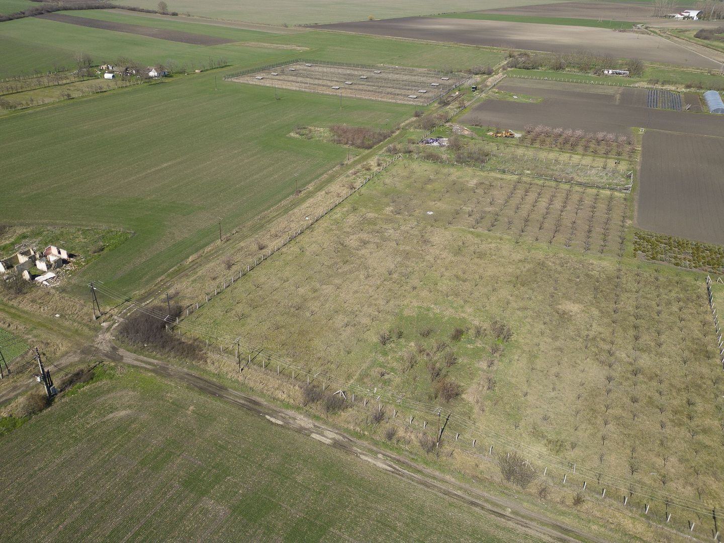 Teren intravilan de 1400 mp în Battonya - Poză 10