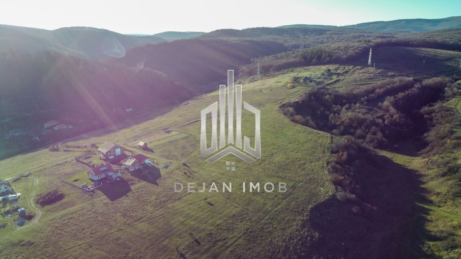 Teren Extravilan | 1.500 mp | Strada Pădurii - Poză 1