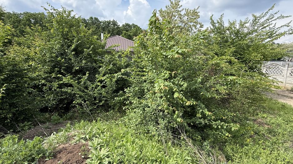 Teren intravilan 498,02 mp langa pădure , strada privata Corbeanca - Poză 8