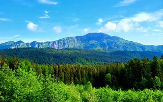 Aparthotel cu view superb Valea Prahovei - Poză 2