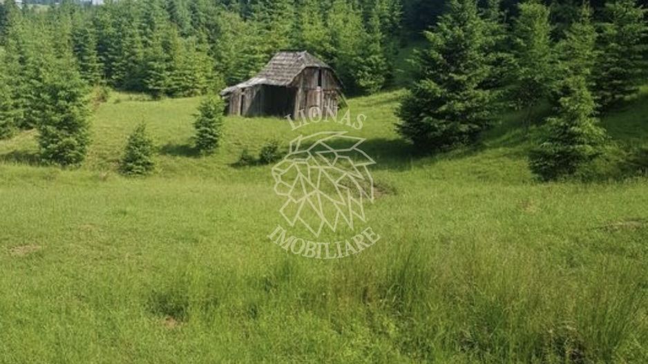 Teren 2,3ha si Padure 1ha-zona deosebita-Pasul Tihuta-EXCLUSIV - Poză 1