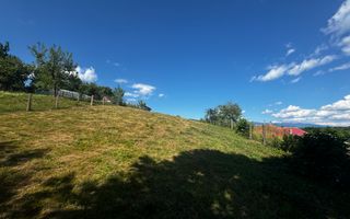 TEREN INTRAVILAN,  SUPRAFAȚA 3446 MP, BUGHEA DE SUS, ARGES - Poză 6