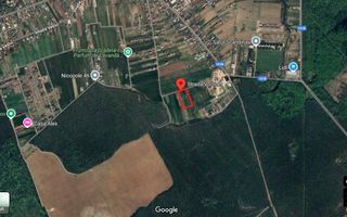 De vanzare teren intravilan 1400 mp|Ghermanesti -Snagov - Poză 1